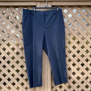 Ann Taylor Cropped Summer Pants - 16